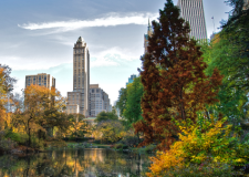 city-e1451864809806